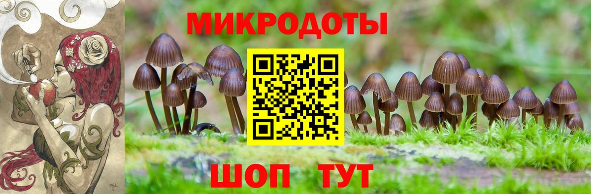 Псилоцибиновые грибы мухоморы Чернушка